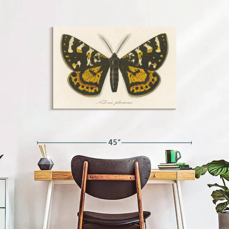 Brampt Natures Butterfly V, 24" H x 36" W