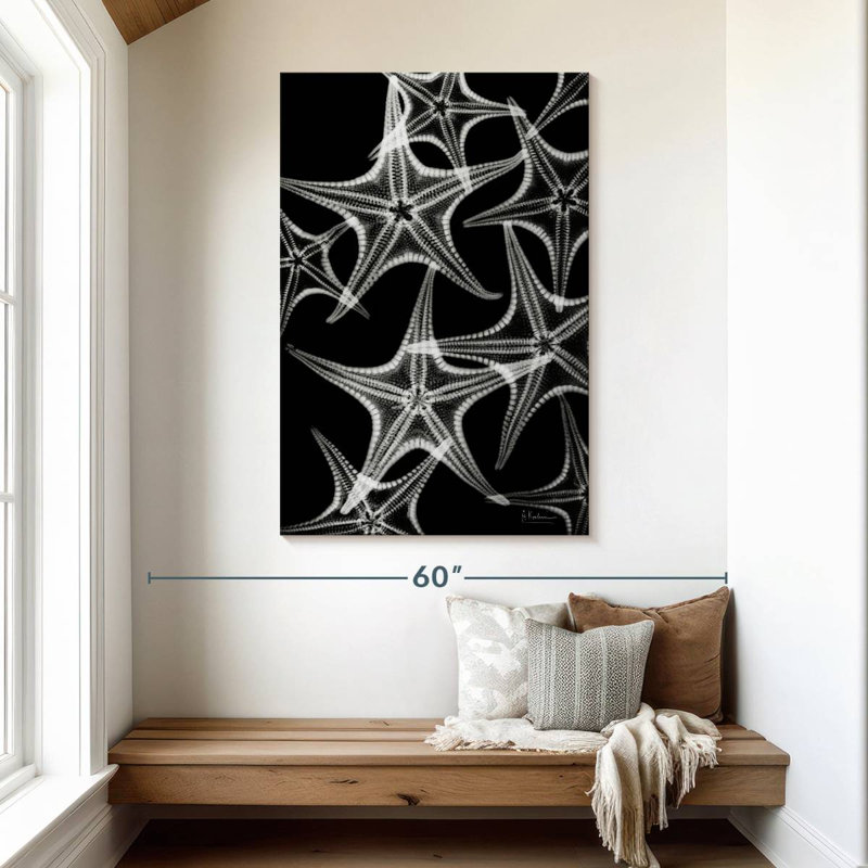 Brampt White Starfish, 48" H x 32" W