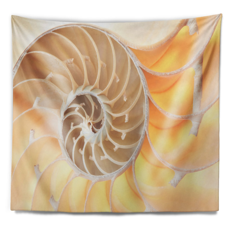 Tapisserie de motif en nautilus de polyester avec accessoires suspendus inclus, H 32 po x l 39 po