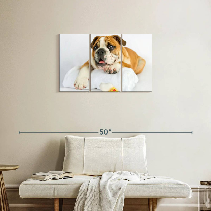 Brampt Donald I, 20" H x 33" W