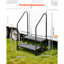 Collapsible With Steps-2027681453