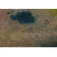 Modern One-of-a-Kind Rectangle 6'10" X 10'6" Area Rug