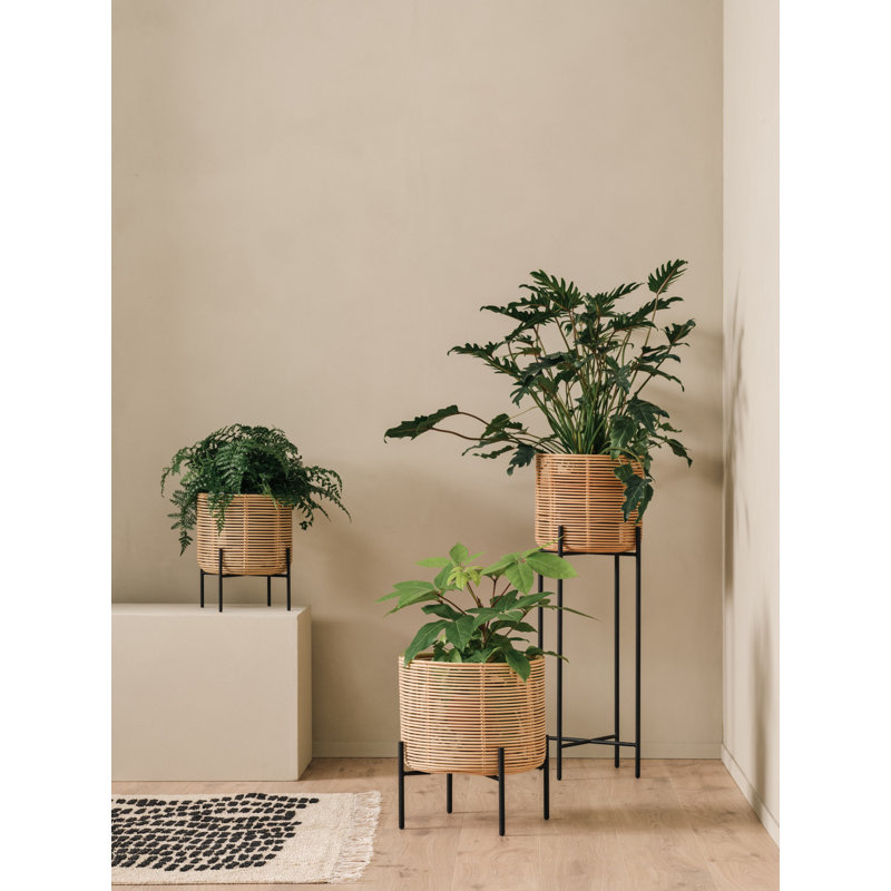 Vivi Plant Stand