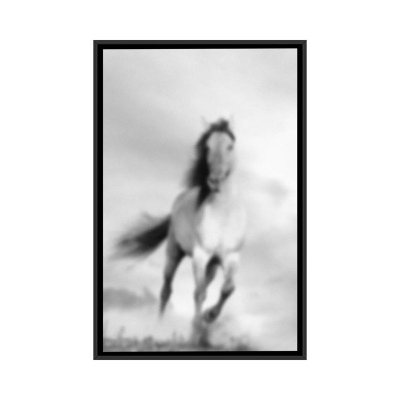 « brouilléed étalon », reproduction de photo sur toile tendue, H 48 po x l 32 po x P 1,5 po, Toile avec cadre noir