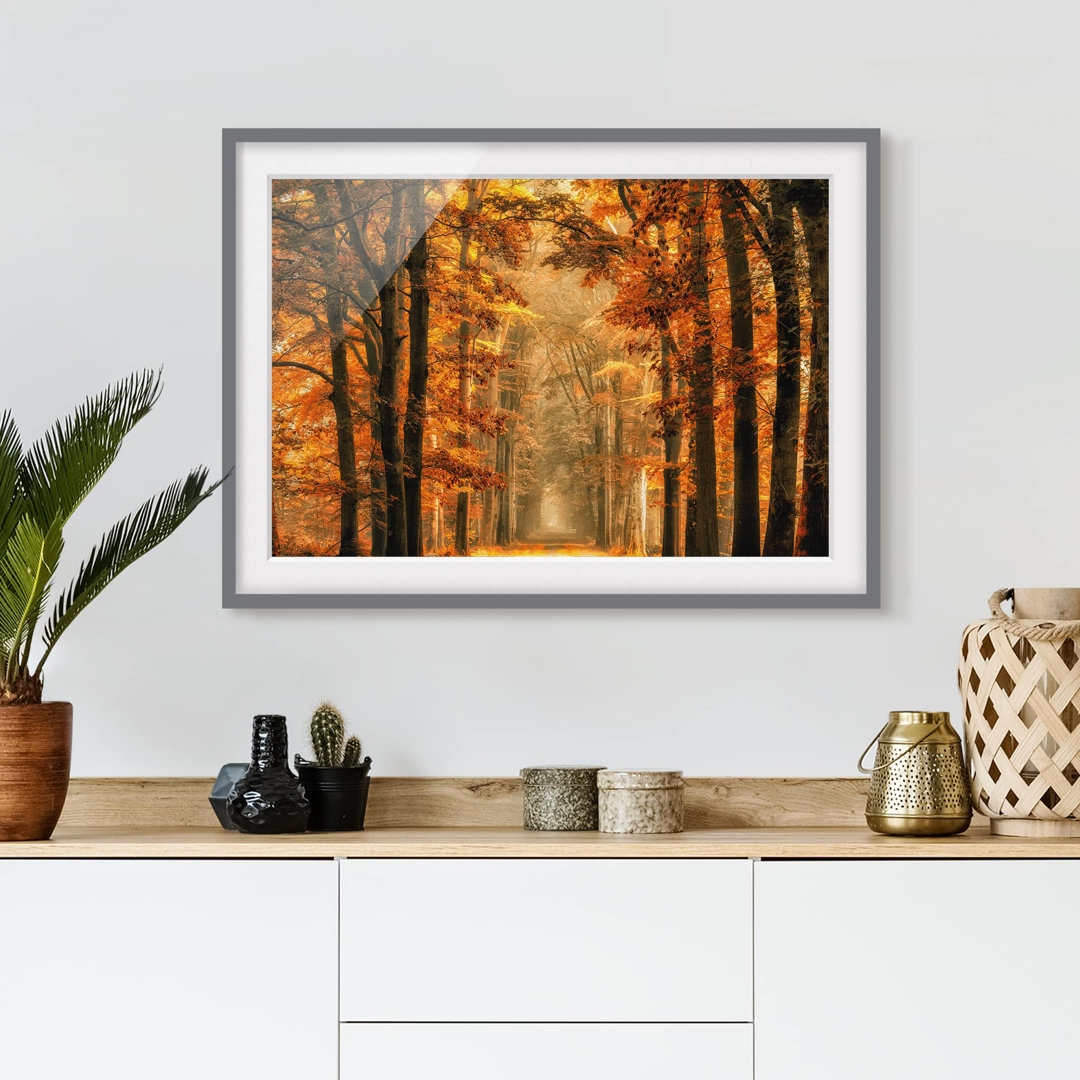 Gerahmtes Poster Fairy Tale Forest in Autumn