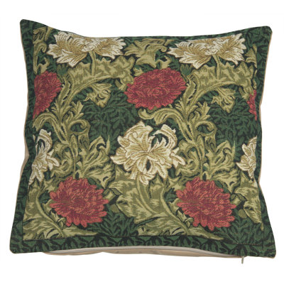 Chrysanthemum Multi
