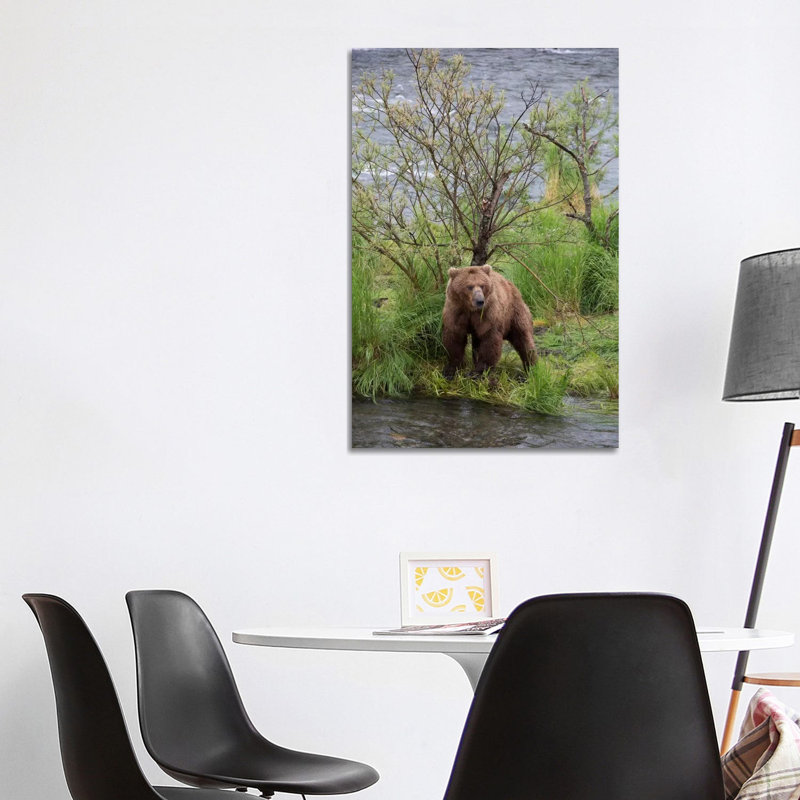 Grizzly Bear Male Scent Marking On Rubbing Tree, Katmai National Park, Alaska by Matthias Breiter - Wrapped Canvas Print