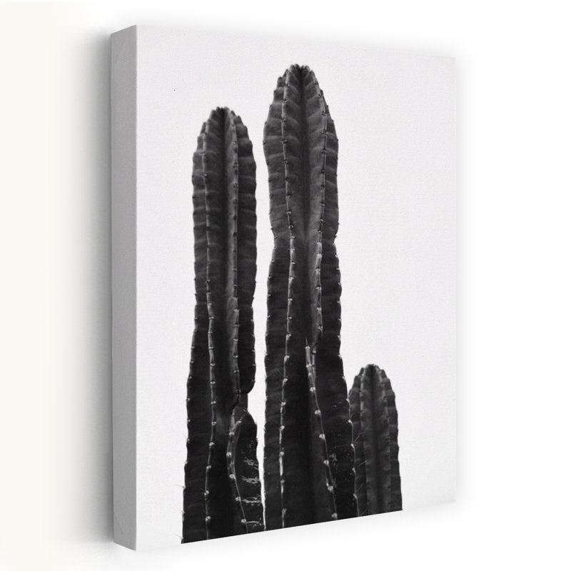 Contemporary Art Classic Dramatic Minimalist Cactus Nature Landscape Wall Art by Del Mundo Portraits - Wrapped Canvas Print