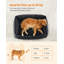 Polyester Pet Bed-105552296-105552297