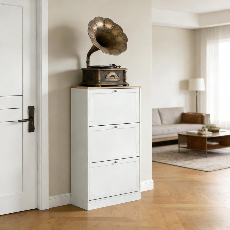 Petite armoire de rangement, armoire de rangement pour chaussures, armoire de rangement dissimulée pour chaussures