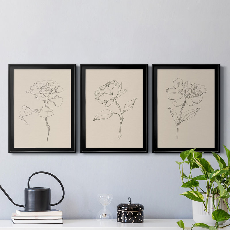 «Floral Contour Study I», reproduction encadrée de qualité supérieure, prête à être accrochée, Cadre noir, Pas de tapis