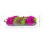 Orchid and  Arrangement-286518432-286518435