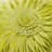 Appliqued Floral Accent Pillow Cover Sunflower Decorative Throw Pillow Case 18in-1947739862