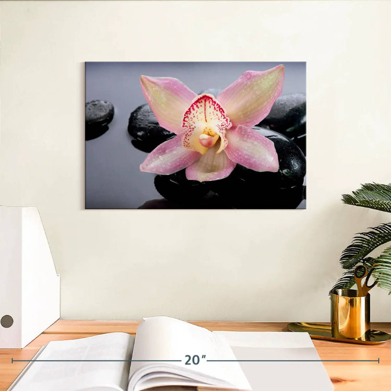 Harnek Zen Delicate Orchid, 8" H x 12" W