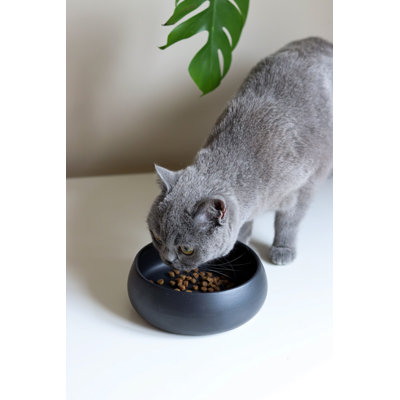 Bol pour nourriture pour animaux