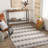 Anfaniola Geometric Machine Woven Area Rug in Beige/Gray/Black-851622340