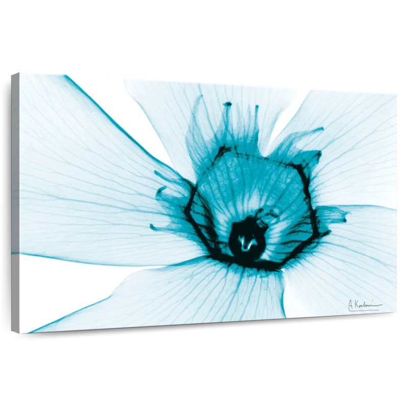 Oleander Harnek Aqua, H 26 po x l 39 po