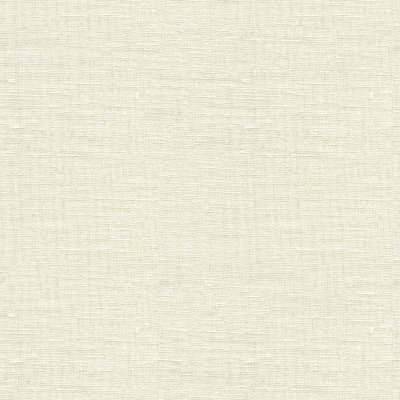 Basics Fabric