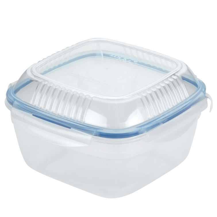 Salad Saver Container Bowl - Mounteen in 2023  Food storage, Office meals,  Food storage containers