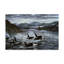 «Killer Whales» par Fazulla, reproduction d'art sur toile tendue-27488694