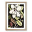 A Laurel Magnolia Tree by Mark Catesby - Picture Frame Painting Print-55629781-55629777