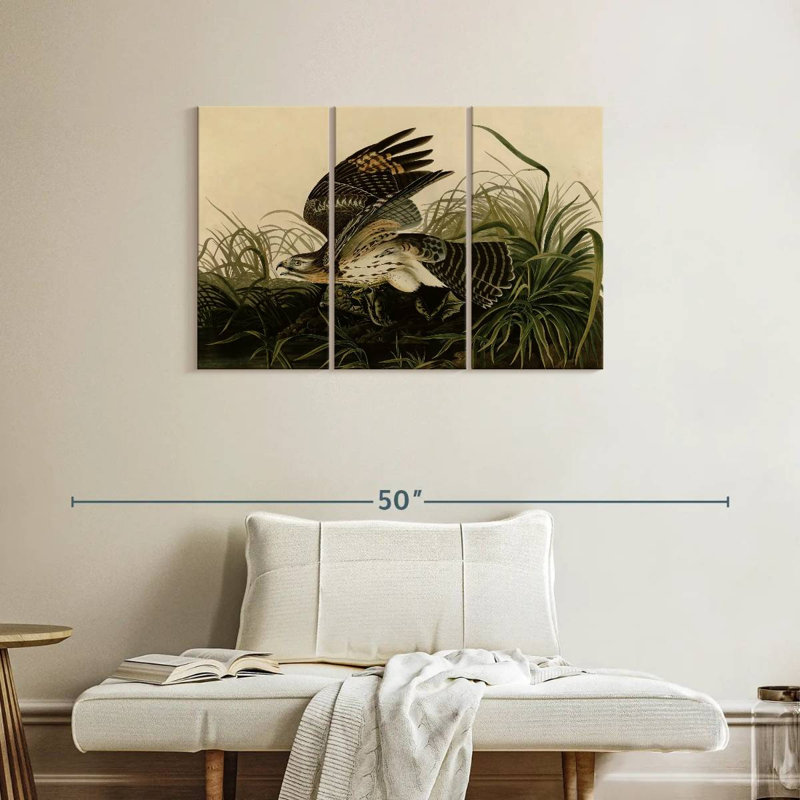 Brampt Winter Hawk, 24" H x 38" W
