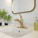 CASAINC Single-Handle Pull-Out Bathroom Faucet Single Hole Faucet with Deck Plate