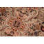 Pangburn Wool Floral Indoor Rug
