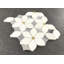 Carreau de mosaïque fantaisie 6 po x 6 po Water Jet