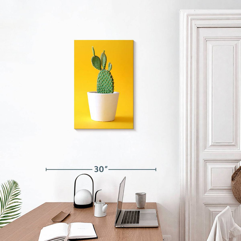 Harnek Potted Prickly Pear Cactus, 24" H x 16" W