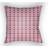 Carolina Coastal Indoor/Outdoor Throw Pillow-21725763-21725764