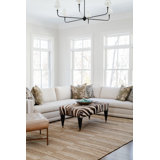 Jute / Sisal Striped Area Rug in Brown