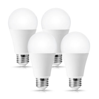 12 W A19 E26/Medium (Standard) LED Bulb
