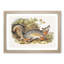 Grey Fox by J.W. Audubon - Picture Frame Painting Print-55608827-55608828
