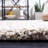 Poynter Area Rug-584953176