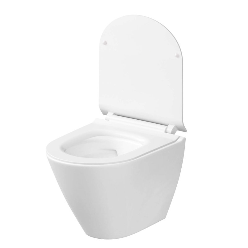 Stormon Dual-Flush Round Wall-Mount Toilet with Soft-Close Seat, Tank, Carrier System and Push Button, 6", Chrome