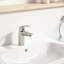 Eurosmart® Single Hole Bathroom Faucet-62487585