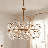 Daylie 5-Light Chandelier In Warm Brass