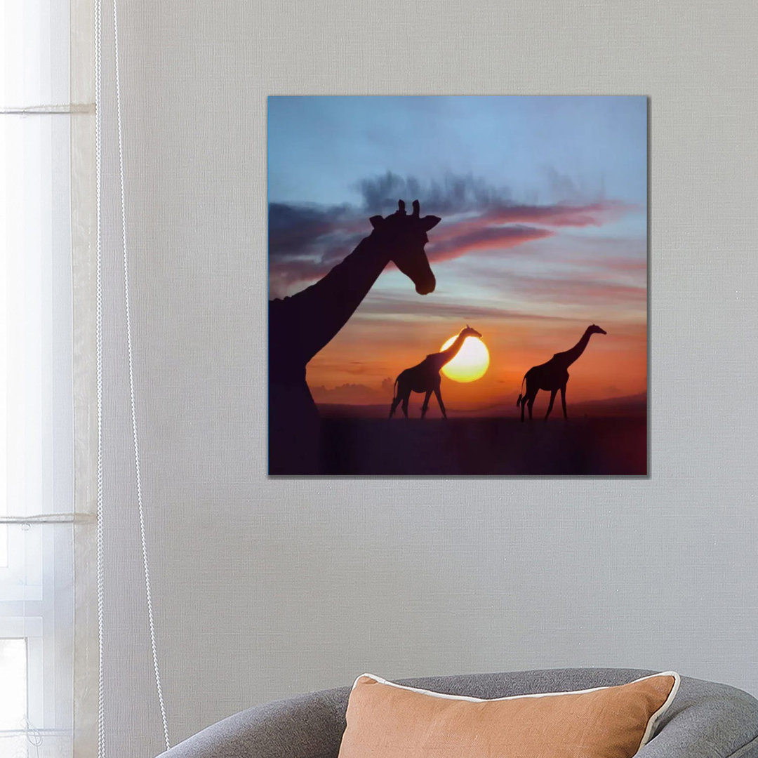 Masai Giraffe Trio At Sunrise, Masai Mara, Kenya by Tim Fitzharris - Wrapped Canvas Print