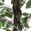 150cm Faux Ficus Tree in Freestanding