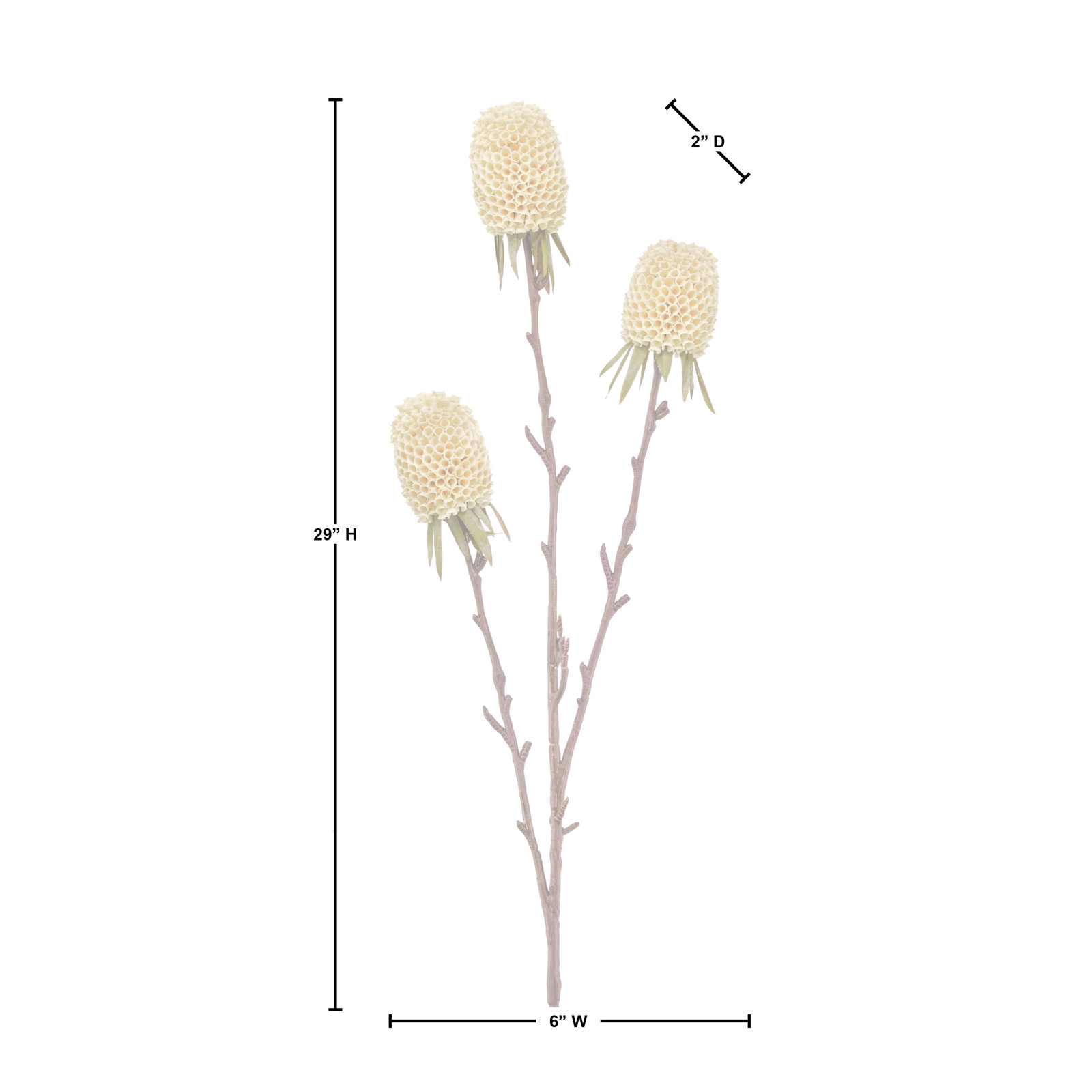 29" Autumn Thistle X3, Cream