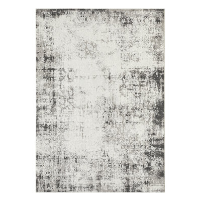 Ariahna Abstract Indoor Rug