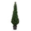 Yarbro Cedar Topiary in Planter-20583798