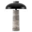 Table Lamp-1000168671