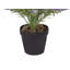 42cm Faux Plant in Pot