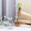 Vase de table en verre Mishell