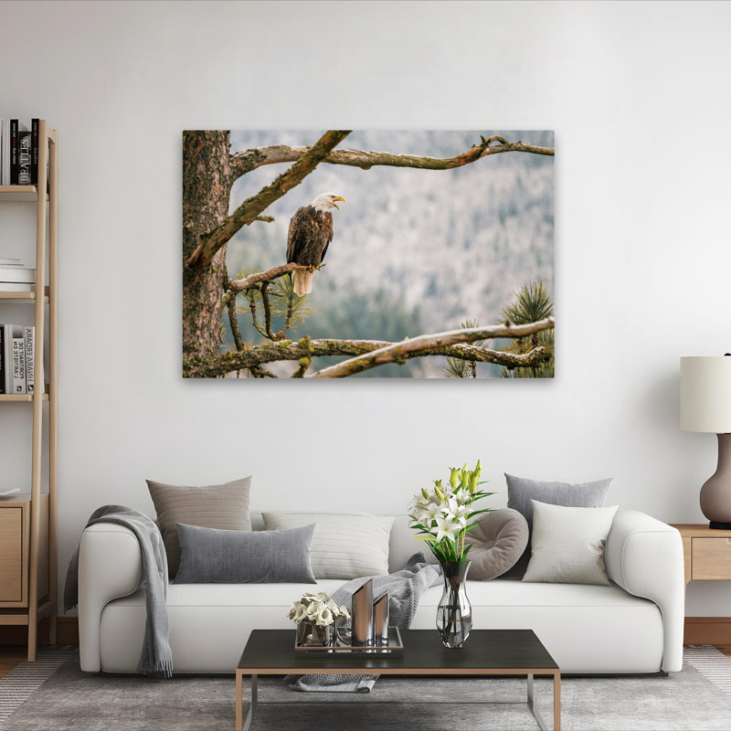 Sentier - photographie, animaux, oiseaux, aigles, art, H 40 po x l 60 po