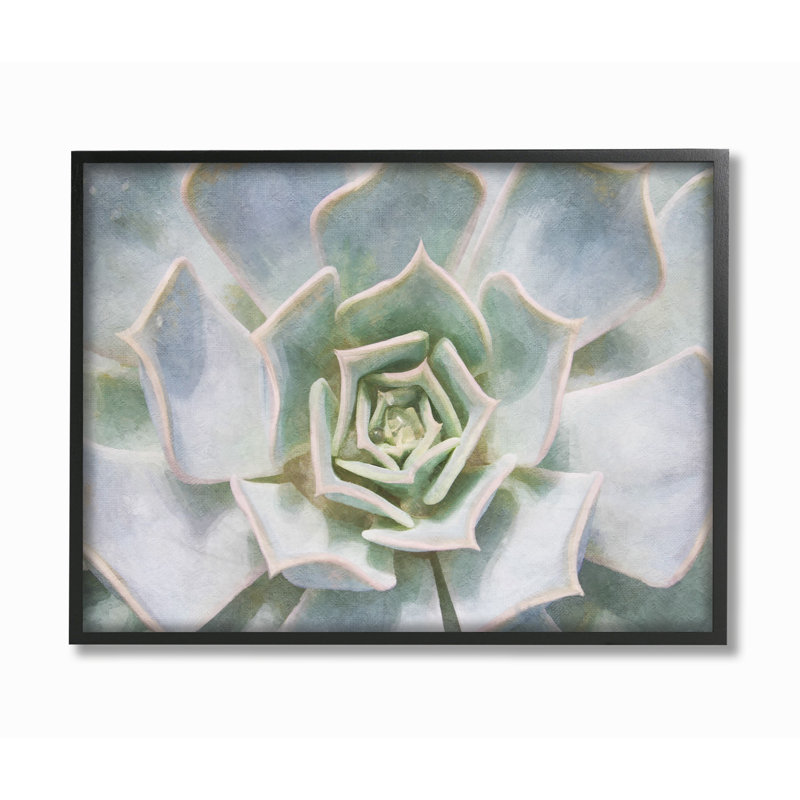 « succulent plante délicate rosée », impression, Giclée encadrée noir minuit, H 11 po x l 14 po x P 1,5 po