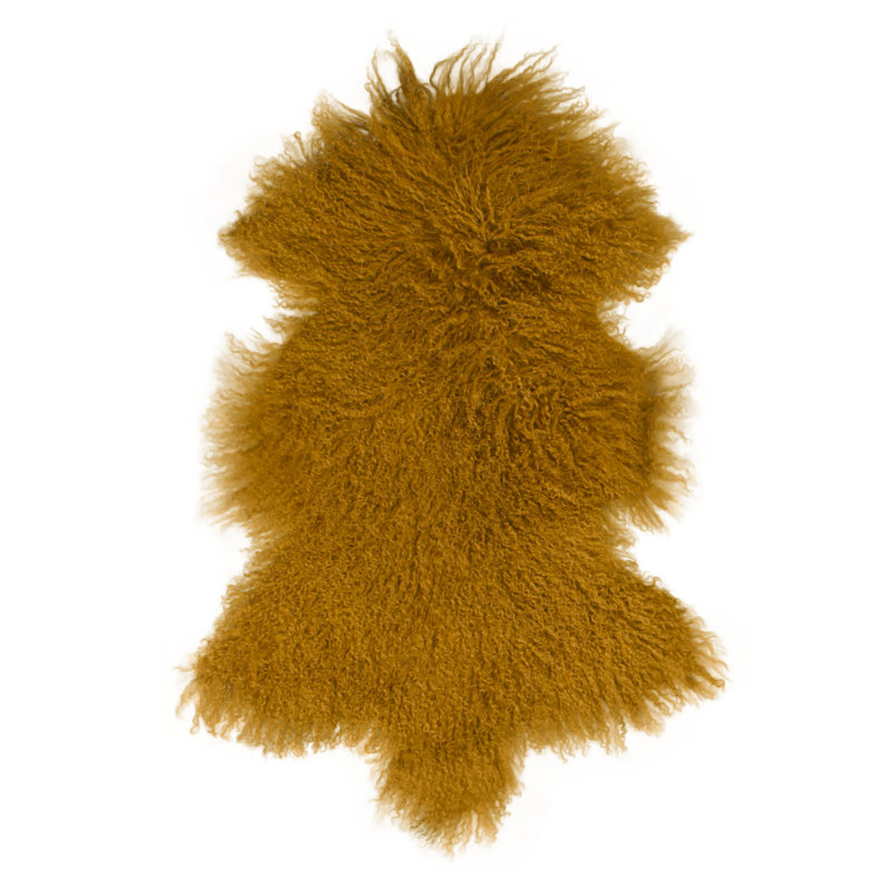 Aliliana Novelty 50 cm x 95 cm Sheepskin Hand Woven Area Rug