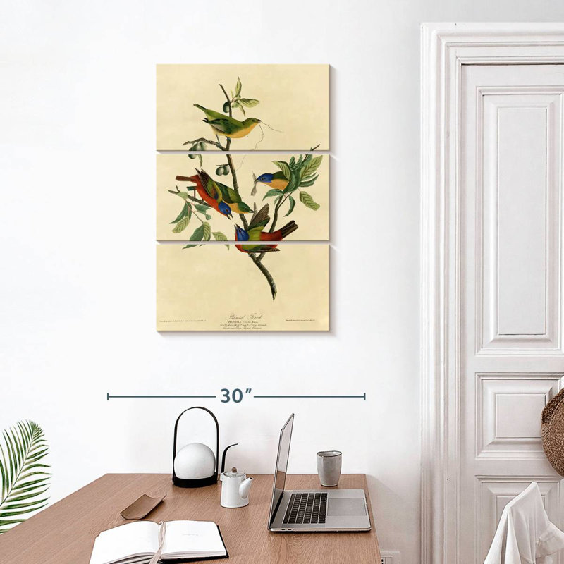 Brampt Painted Finch, 32" H x 20" W